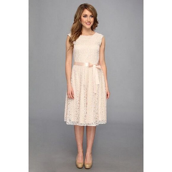 💕TAHARI by ASL💕 Glitter Lace Trim Metallic Ribbon Belted Dress Light Pink 18W - Picture 4 of 14